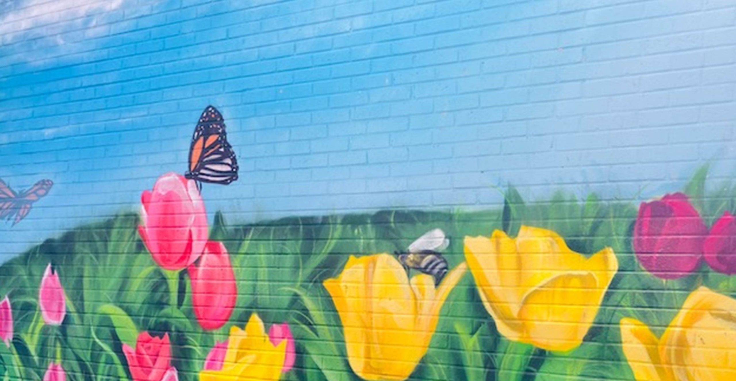 Ramsay Street Flower Garden Mural