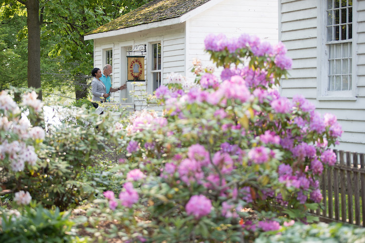 flower bushes in the fore front with people in front of the parks house off in the distance