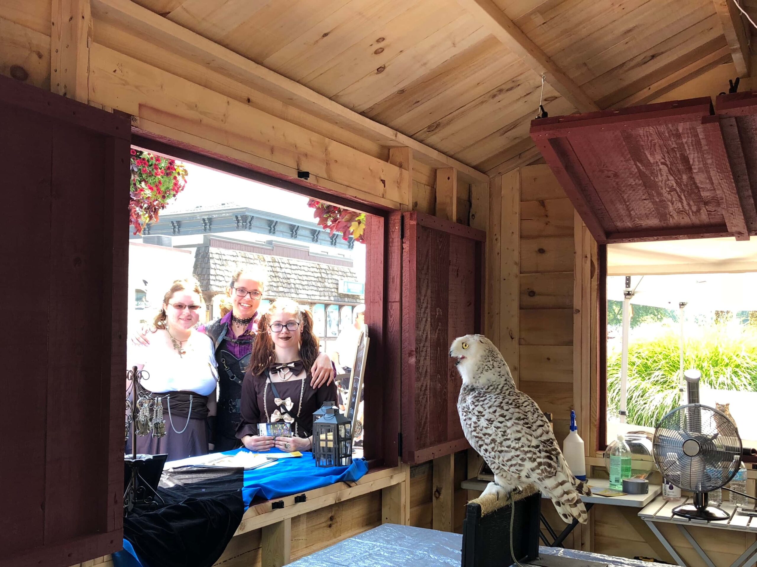 Three festival visitors admire an owl on display.