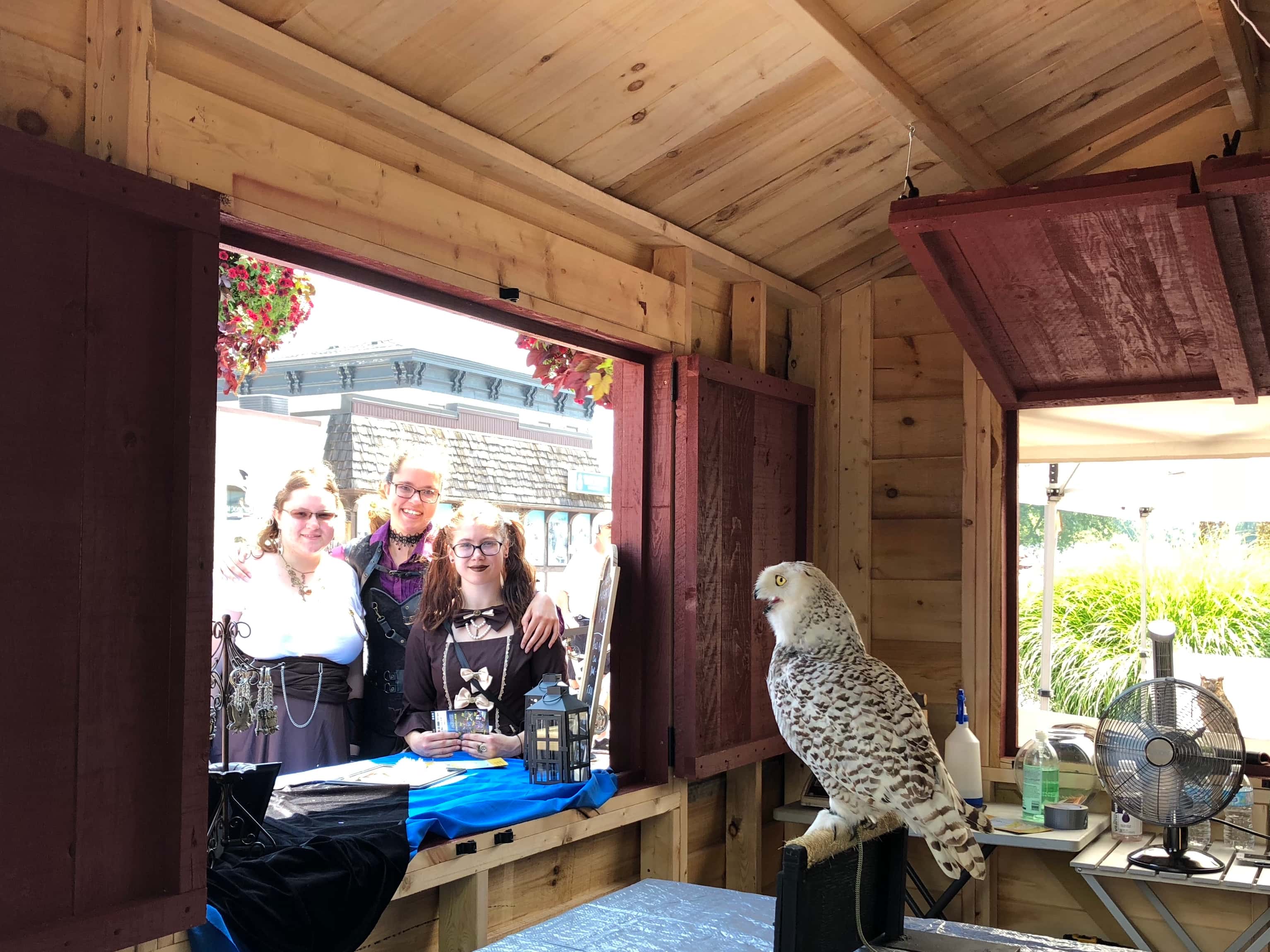 Local festival visitors admire an owl on display