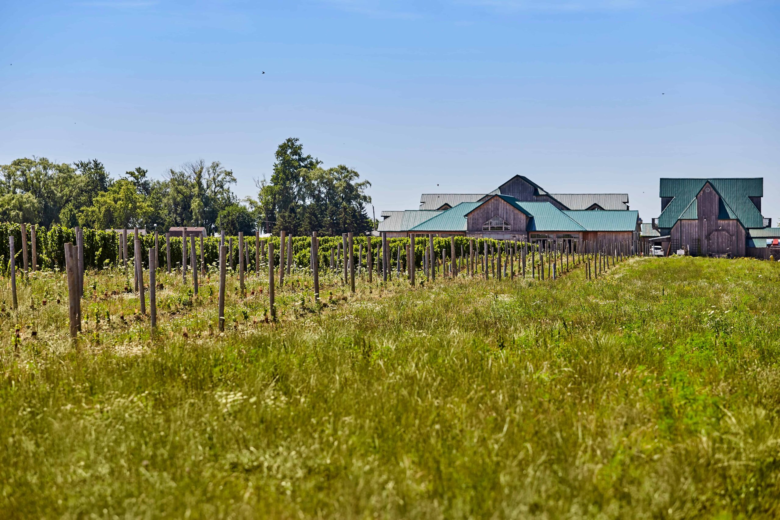 Sprucewood Winery
