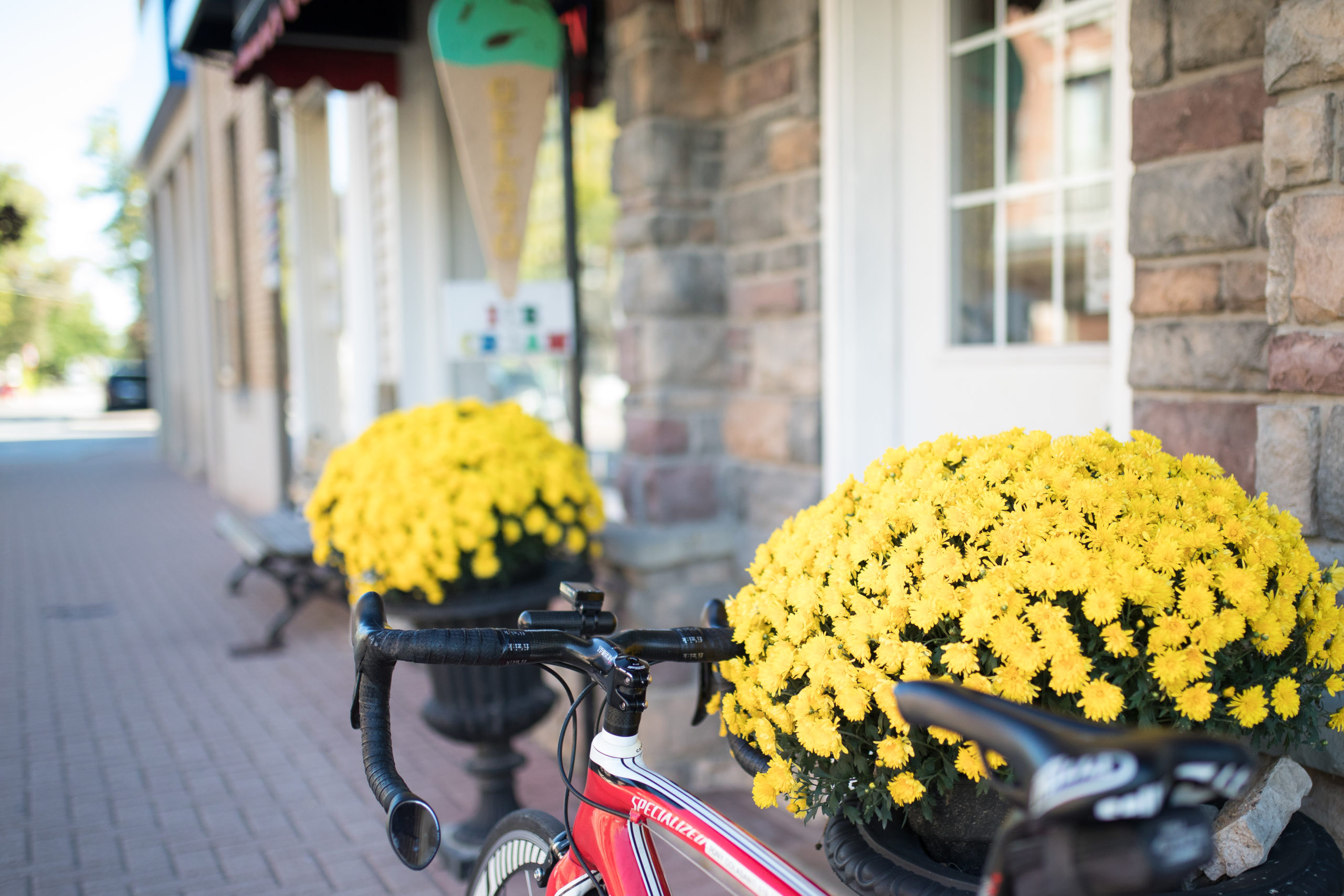 Bicycle and flowers outside of Downtown Espresso
