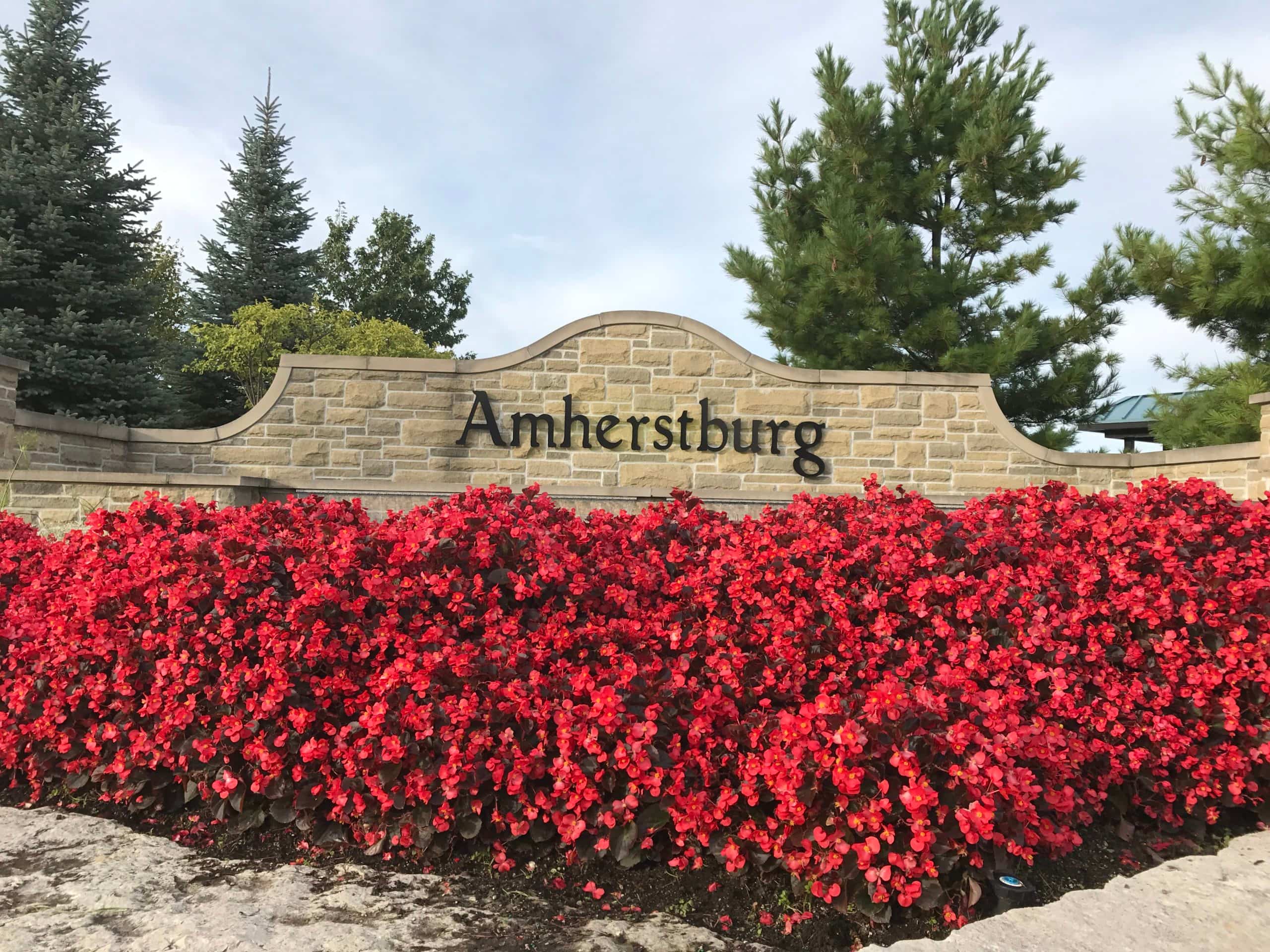 Blooming flowers in front of Amherstburg's north gateway fountain.