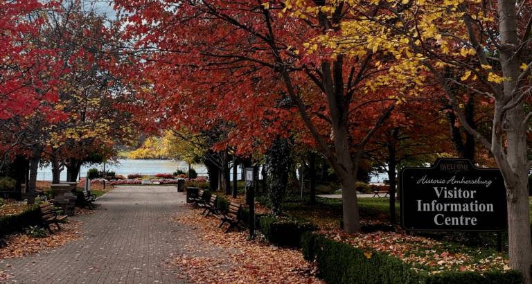 <p>King's Navy Yard Park in the Fall.</p>