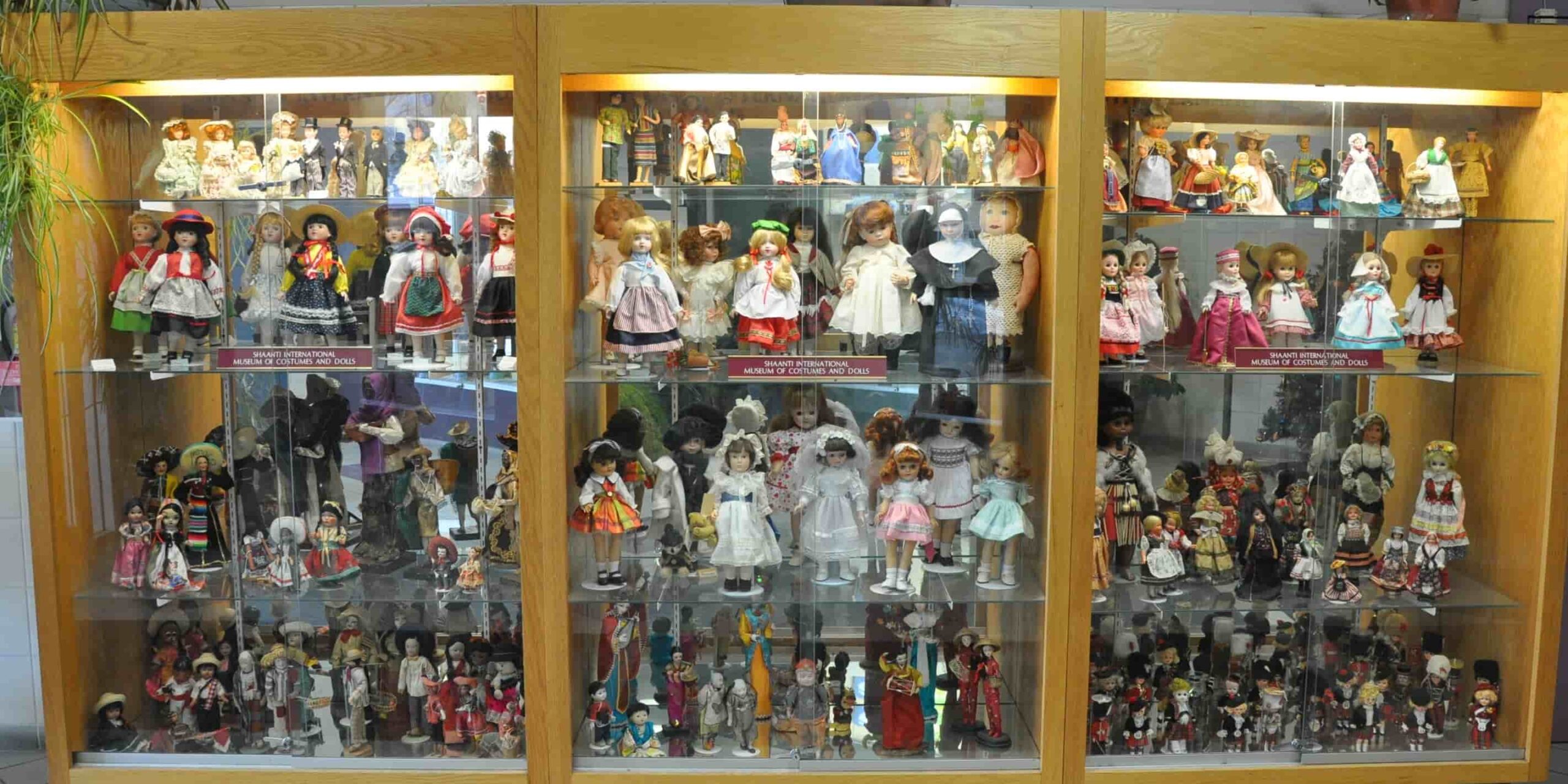 Doll museum case