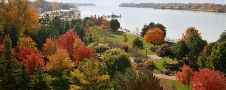 <p>King's Navy Yard Park from above during autumn</p>