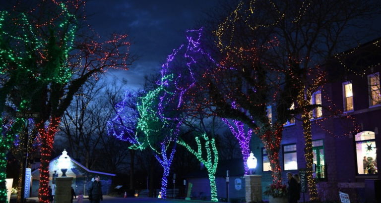 <p>Downtown streets during River Lights</p>