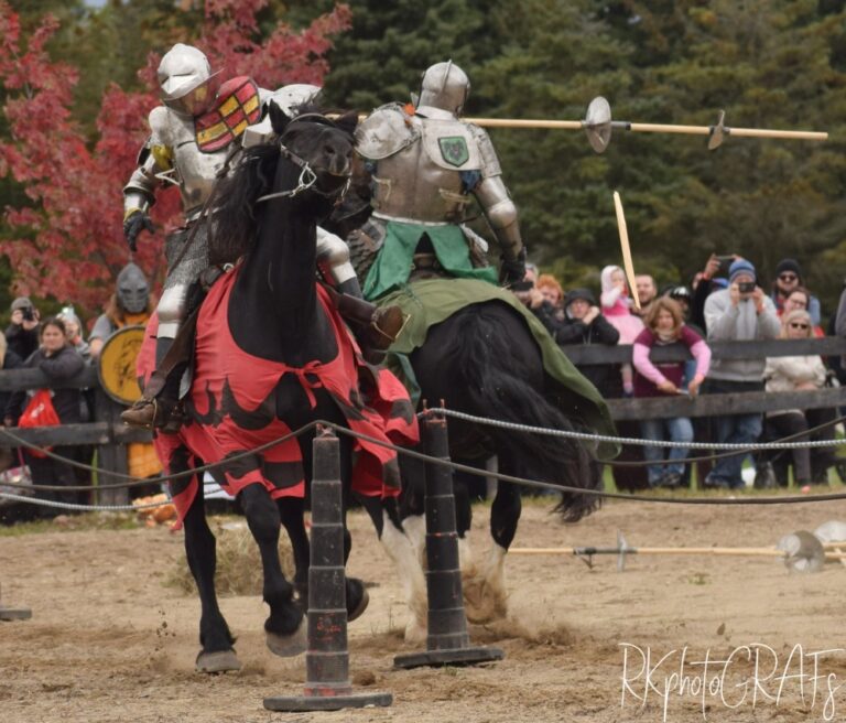 <p>Fort Malden Medieval Faire</p>